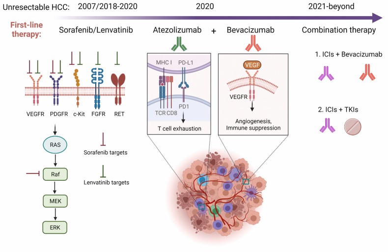 Clinically approved combination immunotherapy: Current status, limitations, and future perspective